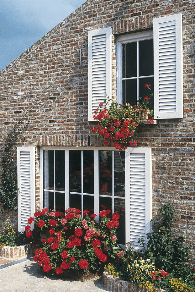 Contraventanas-(7)