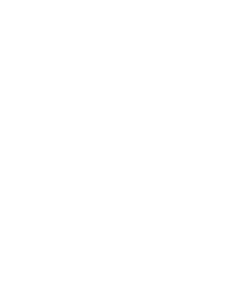 puerta-entrada-2-hojas